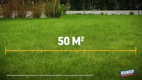 ROUNDUP® Gazon Onkruidvrij 1kg - Bestrijdt blad en wortel en spaart het gazon - Werkt tegen o.a. botterbloem, madeliefjes, klaver en paardenbloem — afbeelding 5