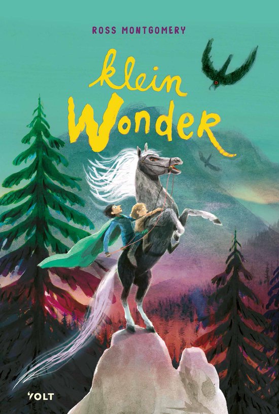 Klein wonder - cover