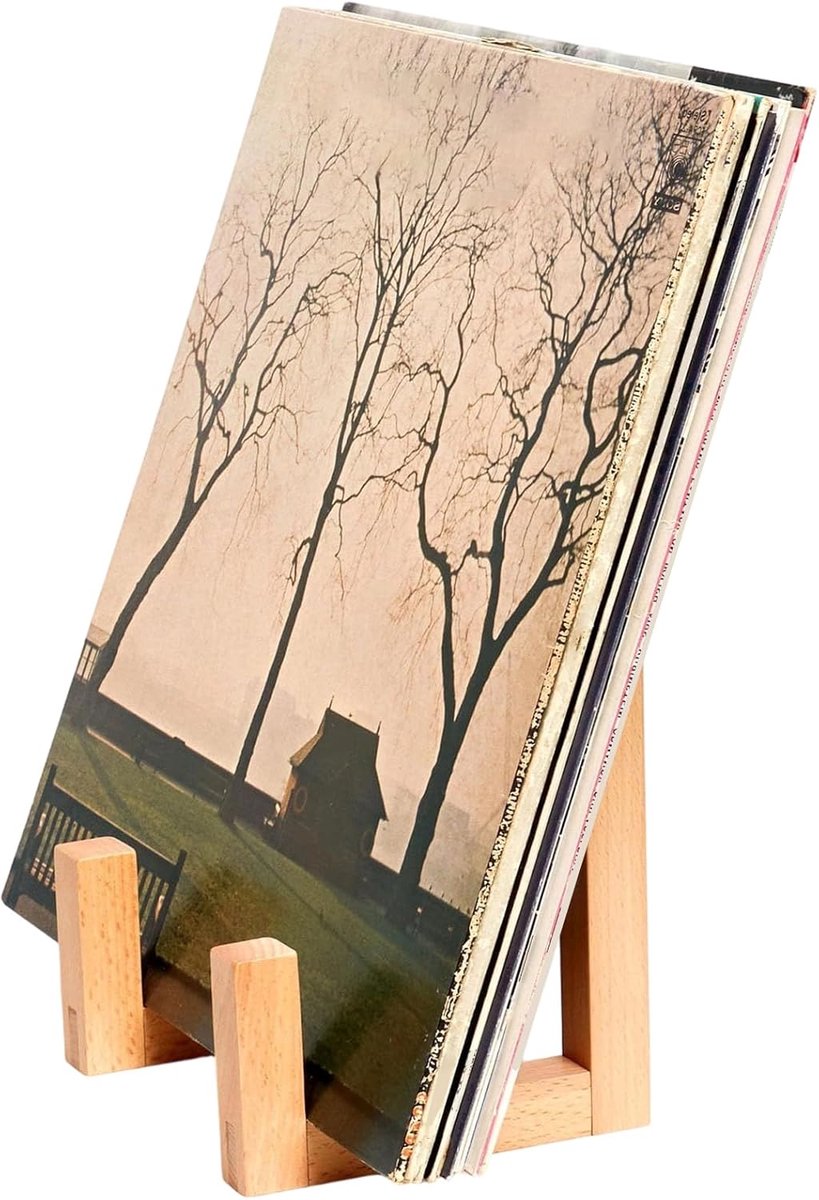 Platenstandaard - Opbergrek Albums - Muziek Collectie - Massief Houten - 22 x 15 x 4 cm