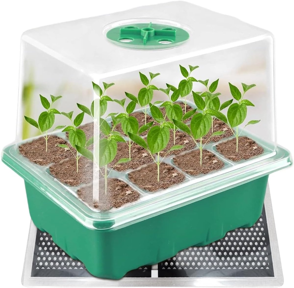 Verwarmingsmat Reptielen - Terrarium Verwarming - Klimaatbeheersing Dieren - Verstelbare Temperatuur - 15 x 14 cm - Zwart