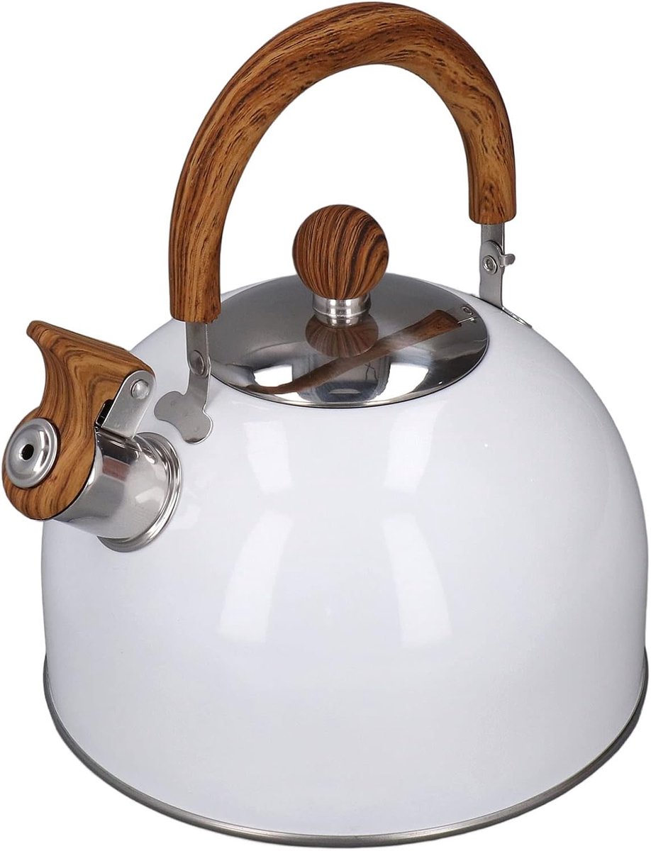 Fluitketel - Waterketel - Thee Zetten - Roestvrij Staal - 25 Liter - Wit