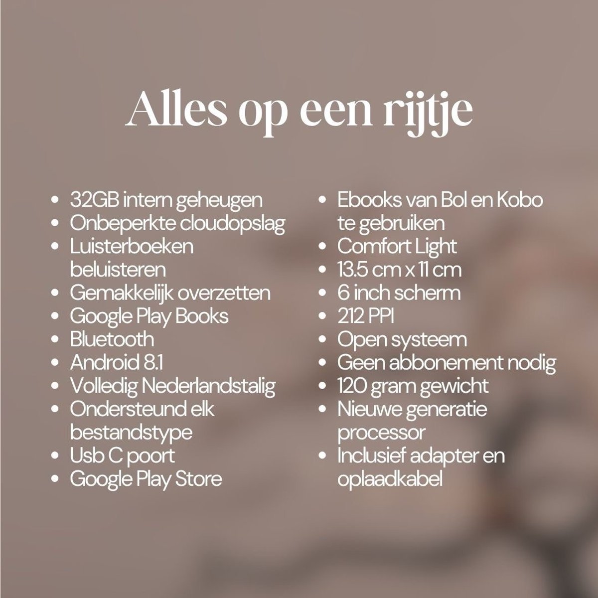 Orion+ Ereader 32GB 6 Inch voor 24.000 Ebooks en - afbeelding 3