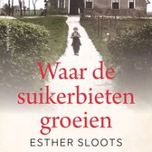 Waar de suikerbieten groeien