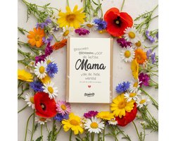 Blossombs Bloembommetjes Giftbox Mini - 4 Zaadbommetjes - Mama - Moederdag Cadeautje