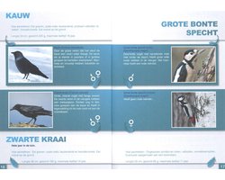 Horizontaal. studiekeuze als ontdekking - vogelgids