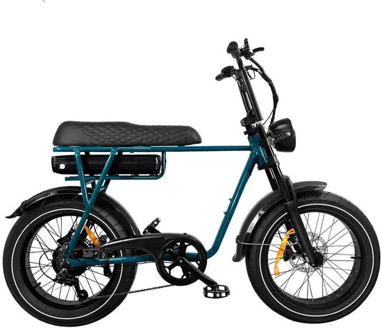 EB2 Pro Fatbike 250W Elektrische Mountainbike 48V 18.2Ah Robuust Frame Fatbanden Gratis Slot Alarm Opbergtasje