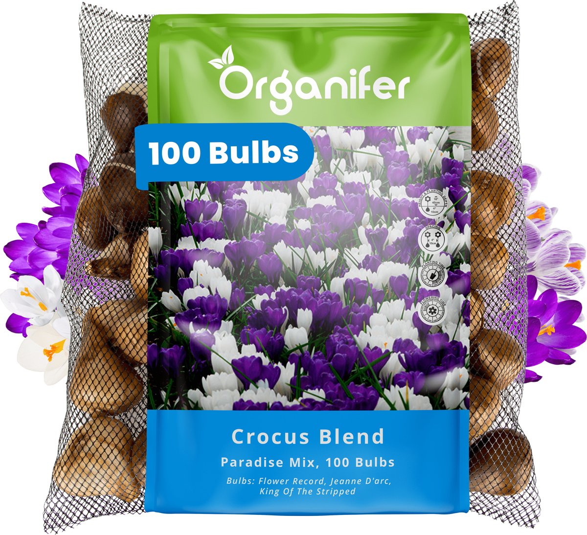 100 Krokus - Crocus - Bloembollen - Grootbloemige Paradise Mix - XXL Bollengrootte 8/9 cm - Zomerbollen - Voorjaarsbollen - Trekt vlinders en bijen aan - Vaste planten - Veelkleurig - Organifer