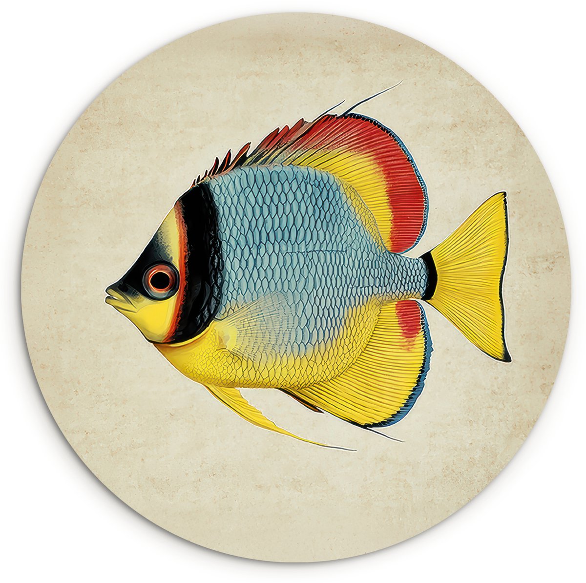 WallCircle Wandcirkel 90x90 cm - Muurcirkel Kleurrijk - Vis - Schubben - Illustratie - Muurdecoratie woonkamer - Wanddecoratie slaapkamer - Kamer decoratie accessoires - Ronde schilderijen Vis - Kleurrijk