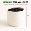 Wit gespikkelde pot, 9.5cm breed en 9cm hoog, gevuld met zwarte steentjes.