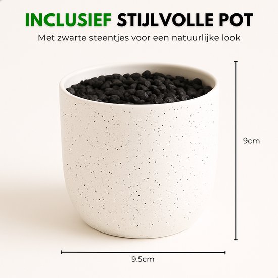 Wit gespikkelde pot, 9.5cm breed en 9cm hoog, gevuld met zwarte steentjes.
