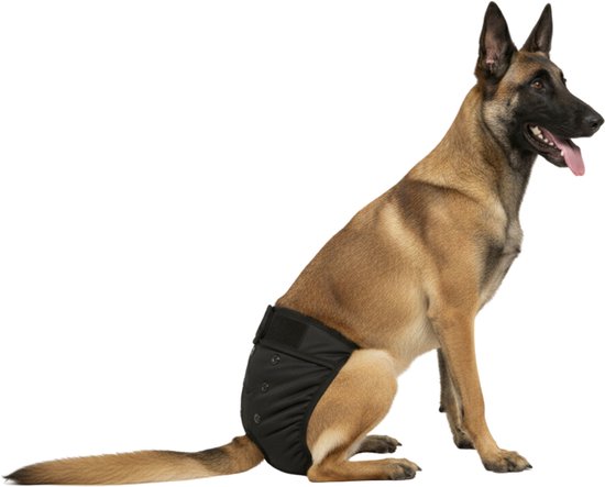 Loopsheidbroekje hond