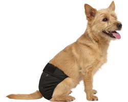 Loopsheidbroekje hond Zwart - Maat M - Taille omvang 26-33 cm - Wasbaar - Bij loopsheid of incontinentie