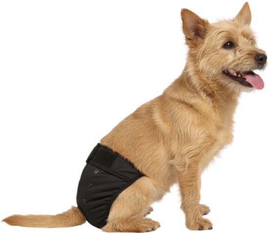 Sharon B Loopsheidbroekje hond