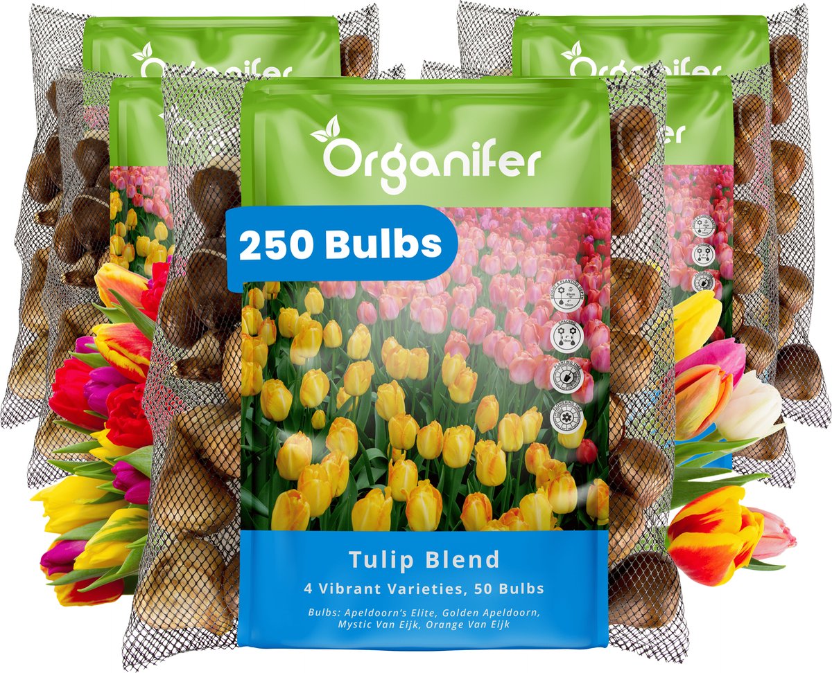 250 Tulpen - 4 Levendige Soorten - XXL Bolmaat 12 cm/+ - Bloembollen - Tulipa - Kleurenmix - Zomerbollen - Voorjaarsbollen - Trekt vlinders en bijen aan - Vaste planten - Organifer