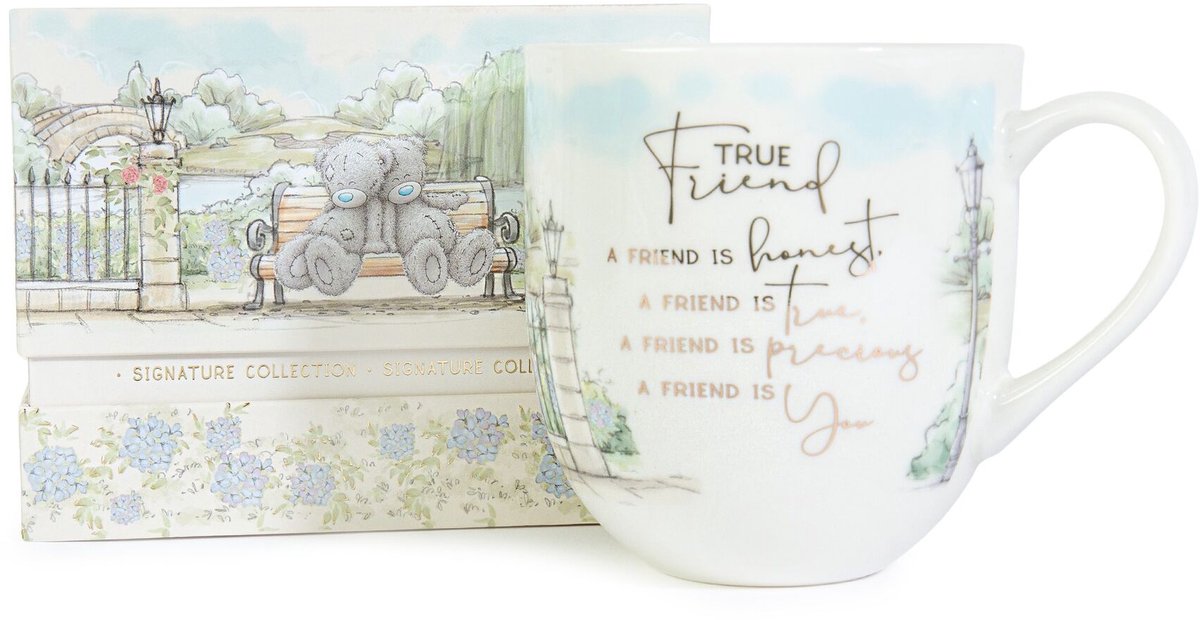 Me to you Boxed Mug True Friend is You