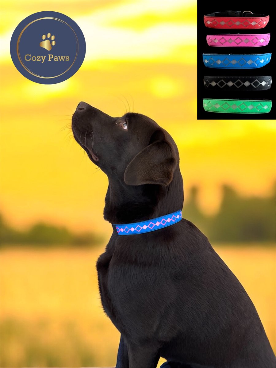 Cozypaws® LED Hondenhalsband met 15 LED kleuren - USB Oplaadbaar - Verstelbaar - Waterdicht - Lichtgevende Halsband voor Honden - Blauw - Maat S