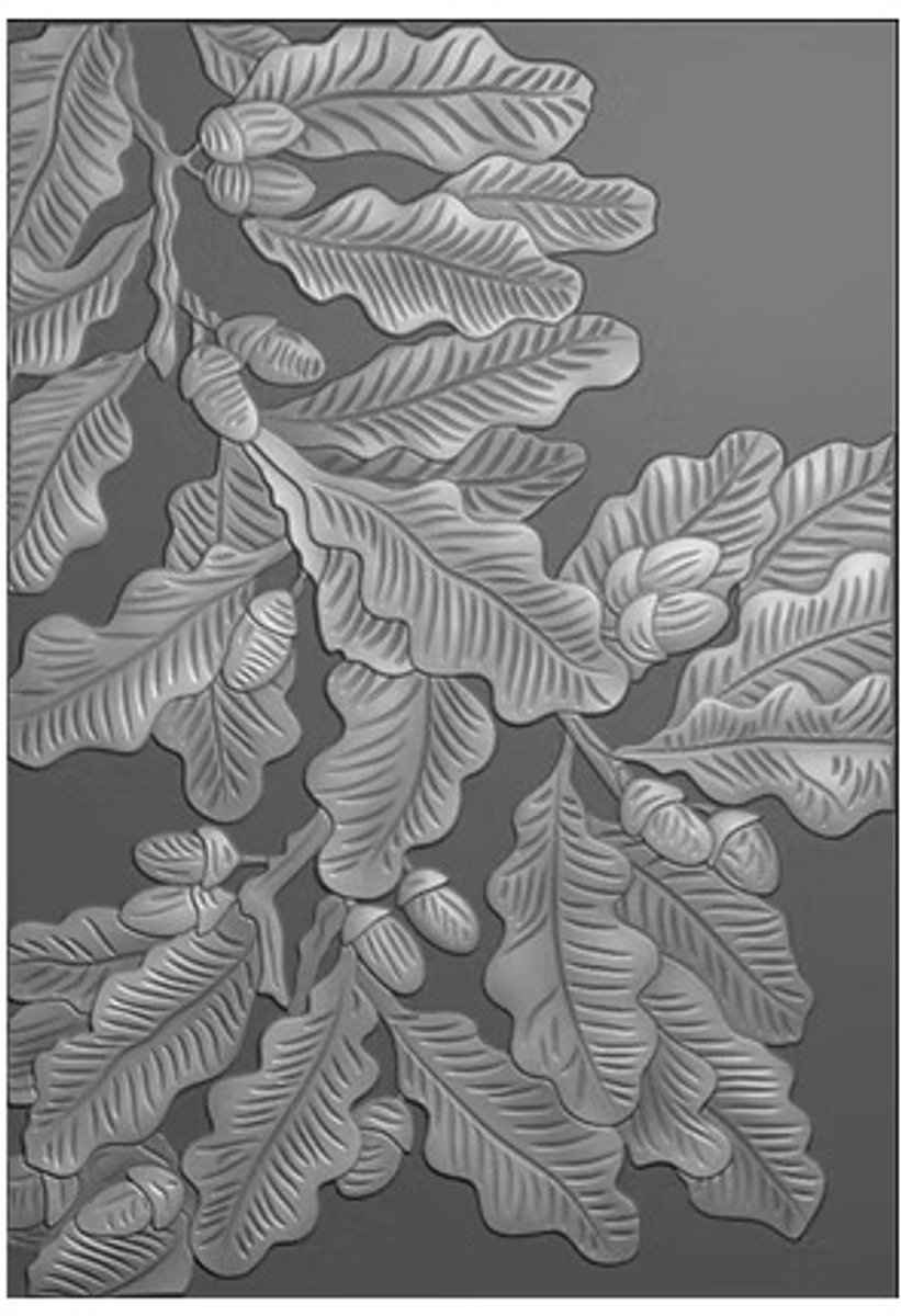 Funky Fossil Oal Leaf Cascade - Embossing folder