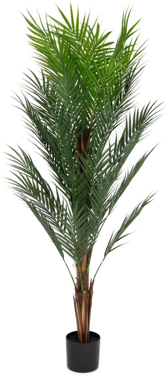 HOMLA - Artificial Plant - TROPICAL ZONE - Palm Tree - 150 cm