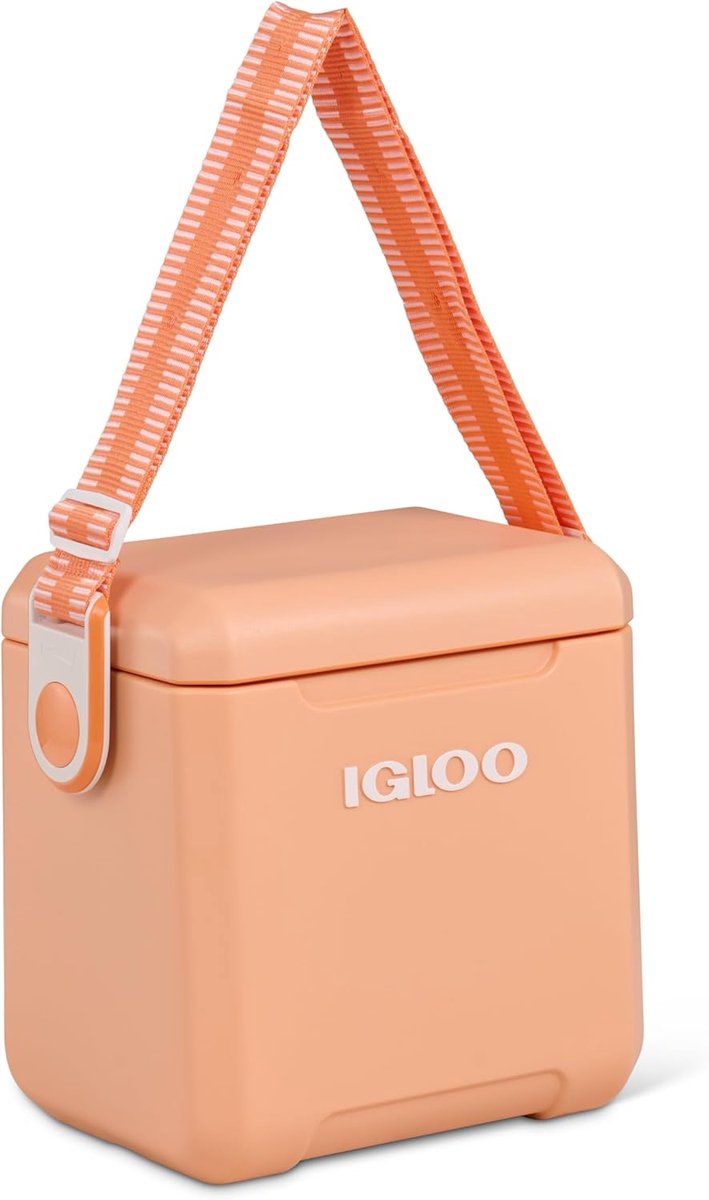Passieve koelbox 10 liter voor uitstapjes en picnics