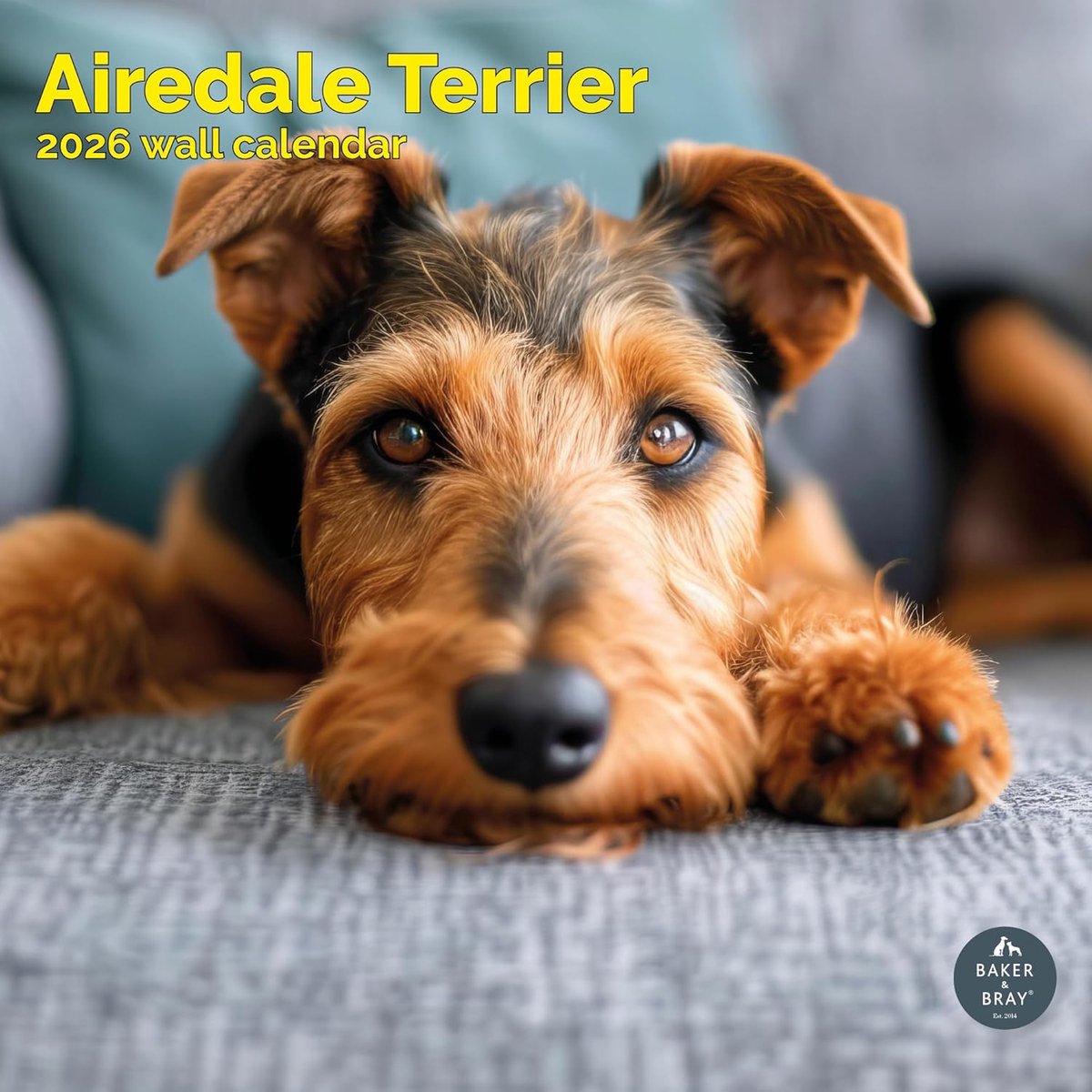 Airedale Terrier Kalender 2027