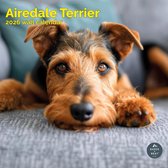 Airedale Terrier Kalender 2027