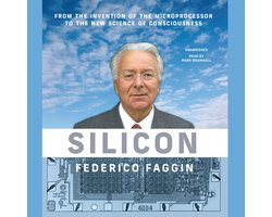 Silicon