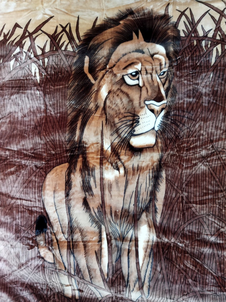Elway Dekentje 160x210 cm - Warm Acryl Deken met Leeuw