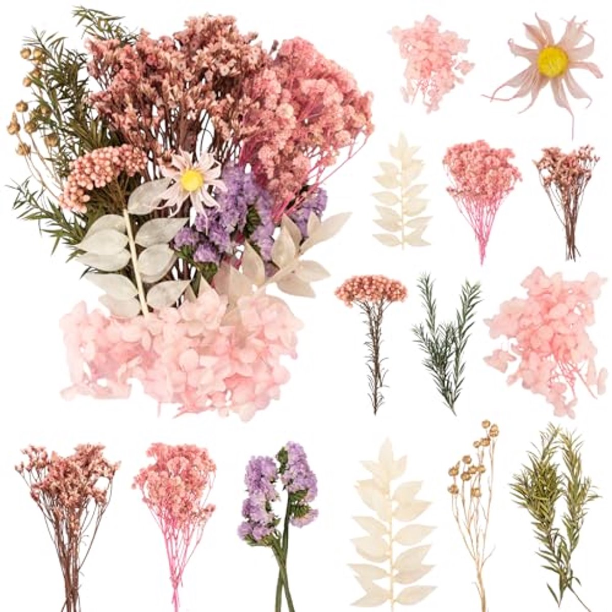 Gedroogde bloemen voor knutselen en DIY-projecten - Mini droogbloemen voor kunst en scrapbooking