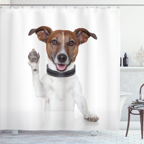 Joyeux Jack Russell terrier aux taches brunes, manteau blanc et collier noir, saluant de la patte sur fond blanc.