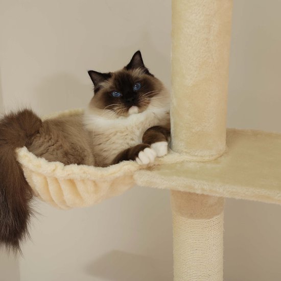 Ragdoll poes ligt ontspannen in hangmat van beige kattenboom.