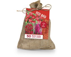 Bloomique - Mix van 50 - The Red Bag - Rode Mix - Tulpen, Hyacinten, Ixia - Bloembollen - Voorjaarsbloeiend - Meerjarige Planten