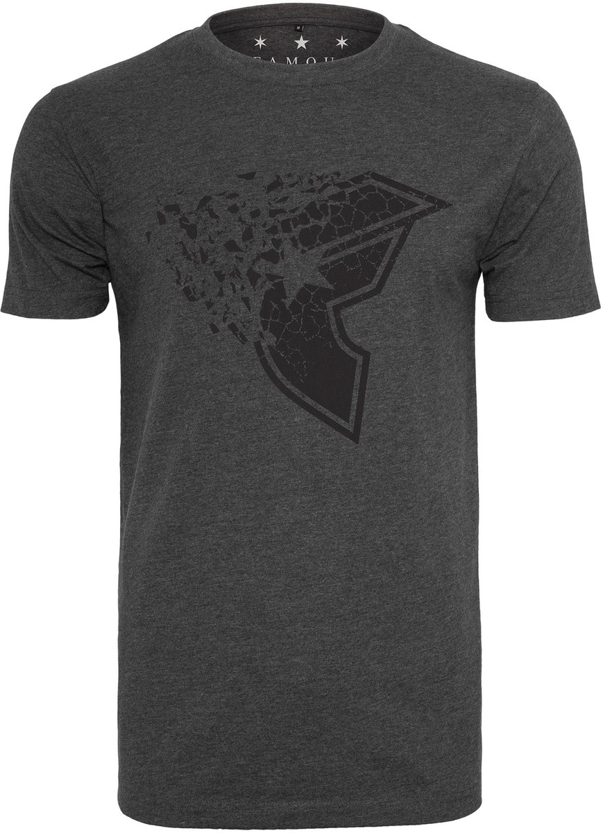 Famous Stars and Straps Blasted Heren T-shirt S Grijs