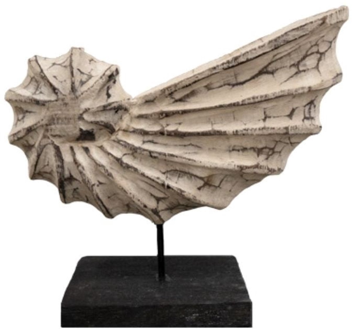 Ornament witte schelp