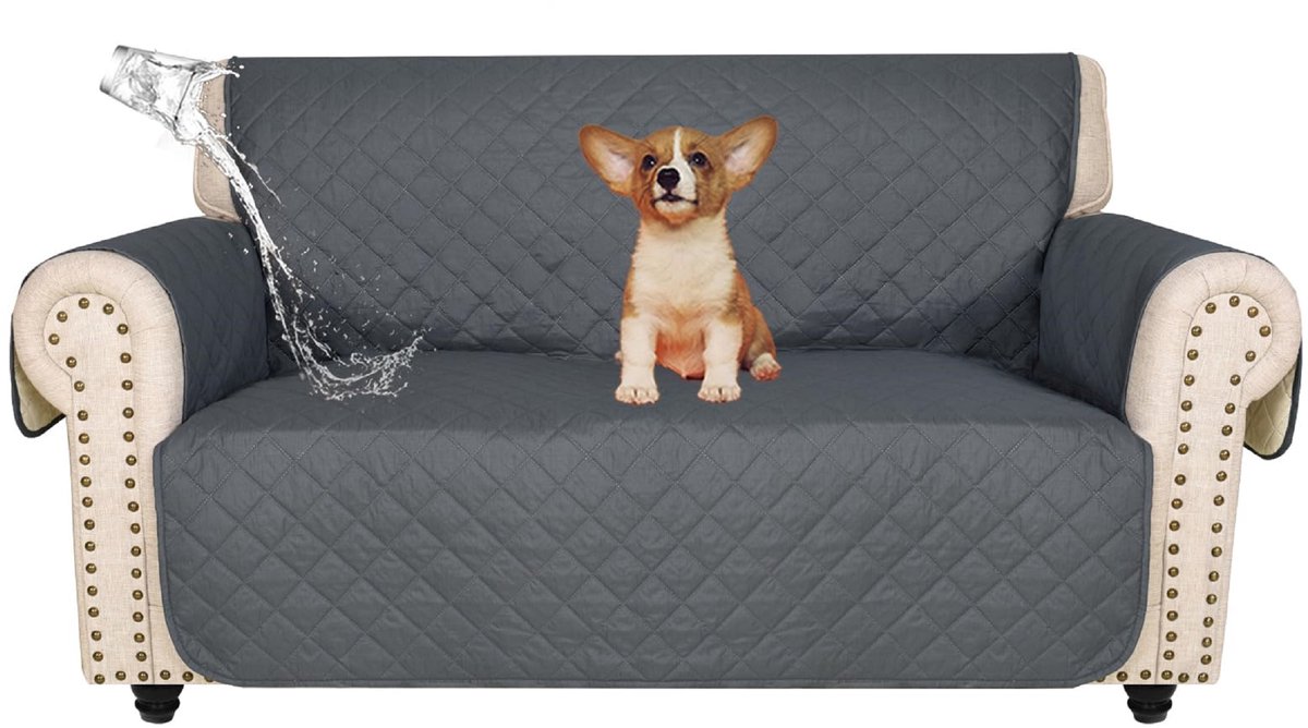 CHIWIN Sofa Hoes voor 2-Zitsbank - 100% Waterdicht Sofa Cover - Anti Slip Bankhoes - Wasba