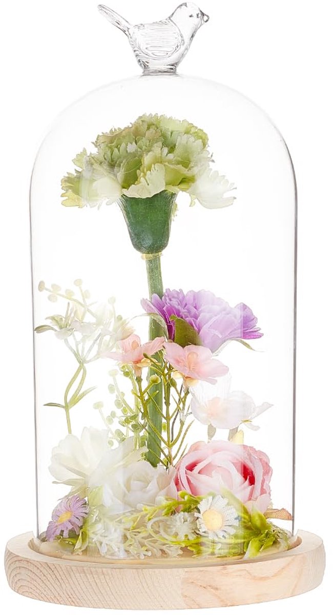 Glazen Display Dome Cloche 122x230mm met Houten Basis - Transparant Design voor Planten en Decoraties
