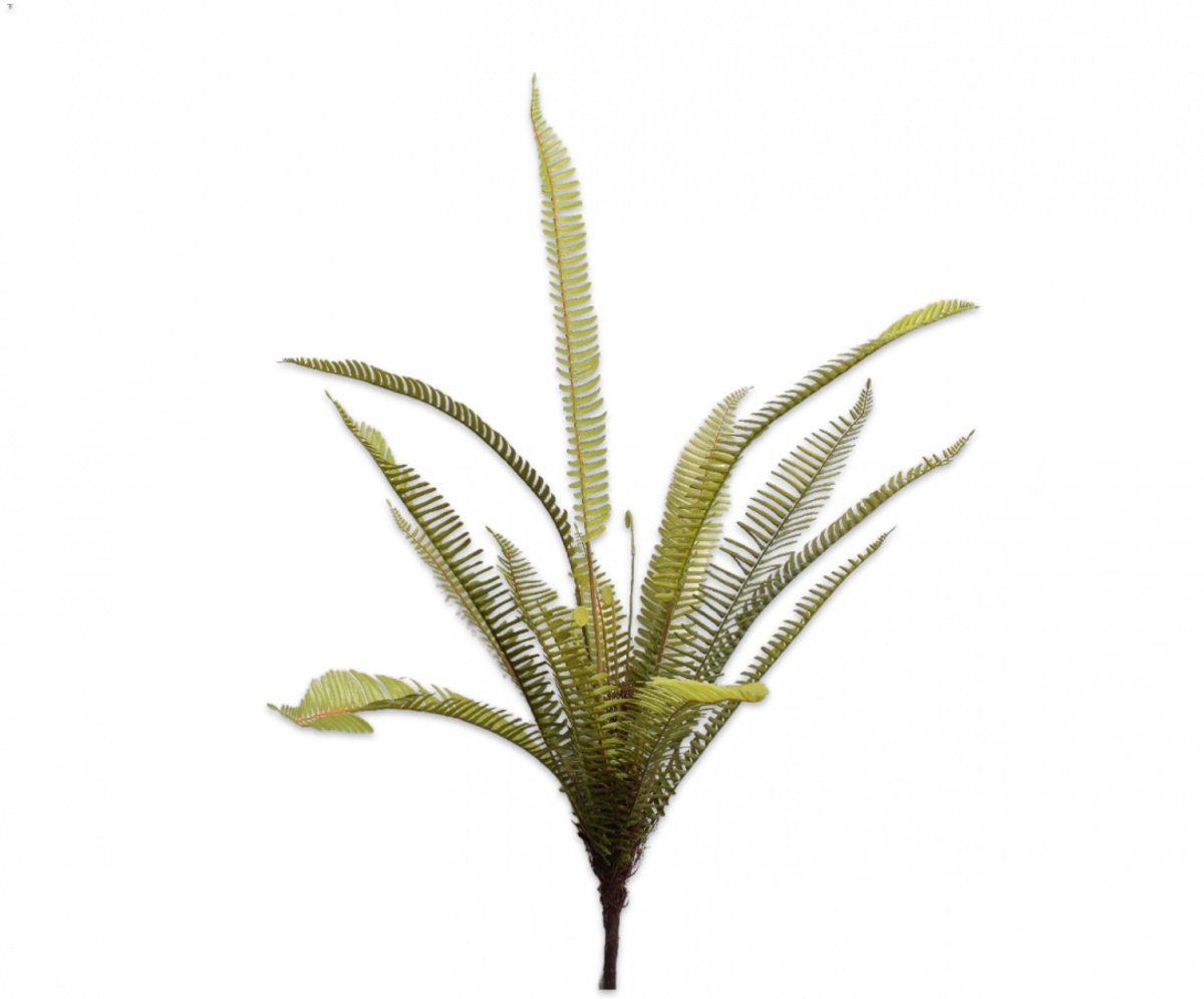 Silk-ka varen-kunstvaren-nepvaren-groen