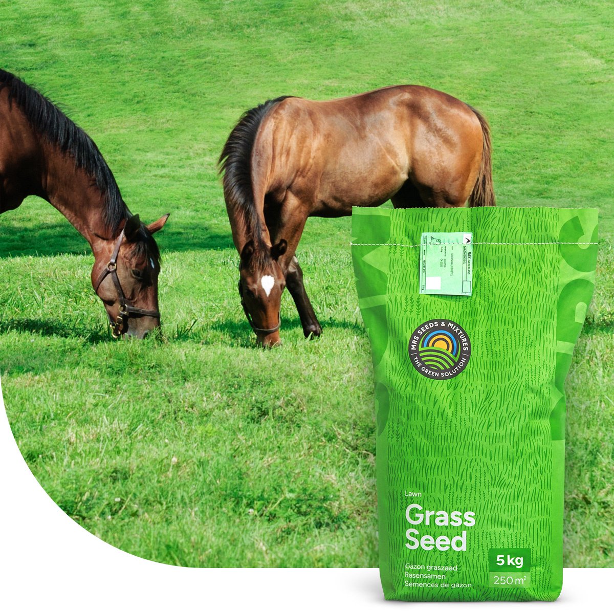 MRS Graszaad Paardenweide Laag Fructaan - 5 kg voor 500 m² - Beschermt de gezondheid van het paard - Minder risico op hoefbevangenheid - NAK-gecertificeerd