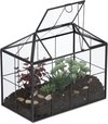 Terrarium pour plantes - 20 x 24,5 x 13,5 cm - verre - rebord de fenêtre - noir