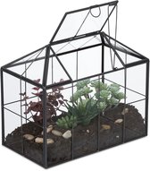 planten terrarium - 20 x 24,5 x 13,5 cm - glas - vensterbank - zwart