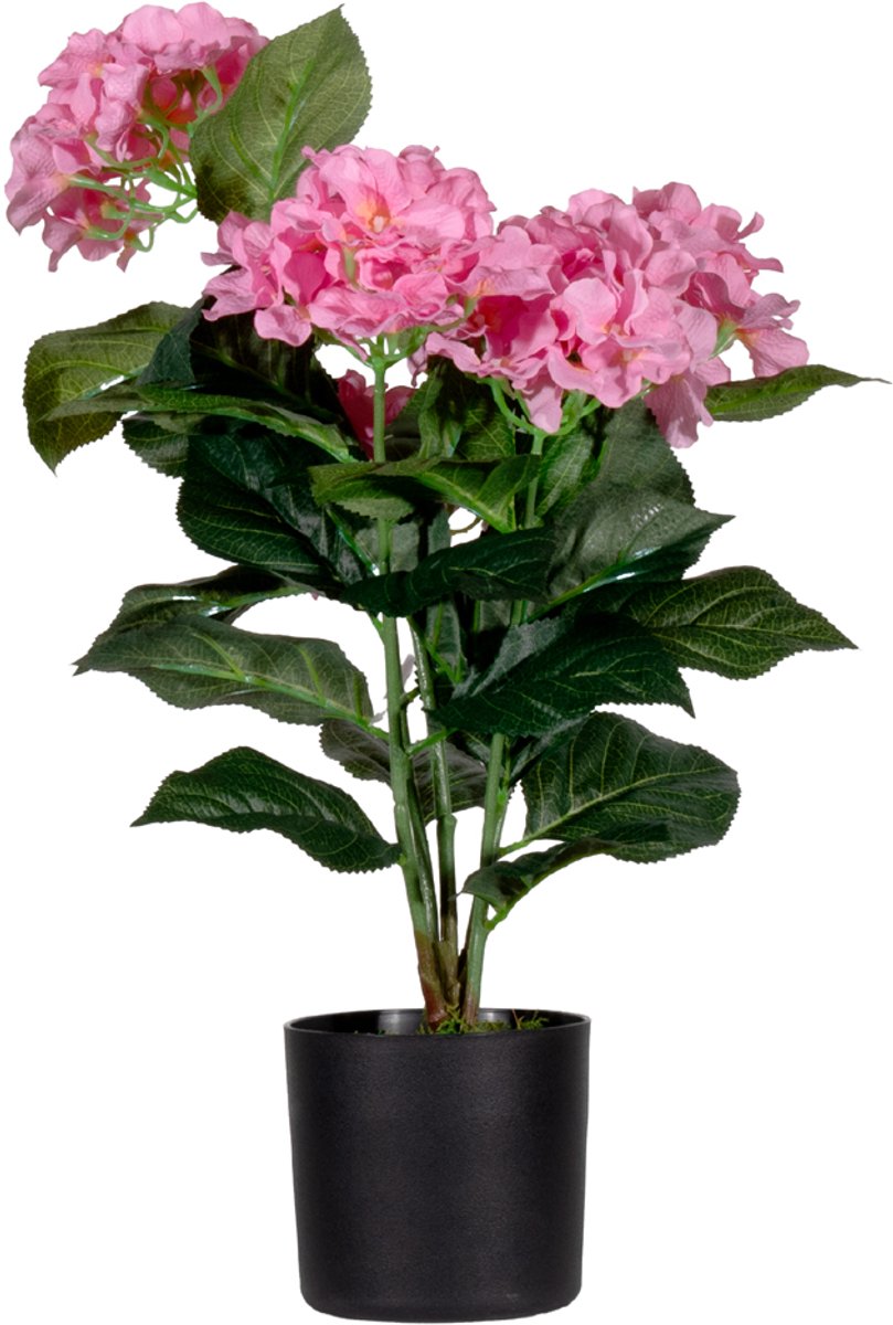 PAPERFLOW kunstbloem - hortensia, roze, hoogte: 55 cm