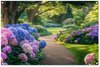 Hortensia - Jardin, Violet