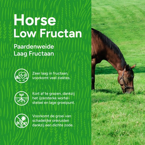 Je paardenweide klaarmaken voor gebruik
