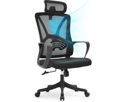 Dálue Ergonomische Bureaustoel Zwart – Luxe Verstelbare Lendesteun, Kantelbaar tot 125°, Ademend Mesh – Comfortabele Kantoorstoel voor Thuis & Werk, Game stoel, NEN-EN1335 gecertificeerd.