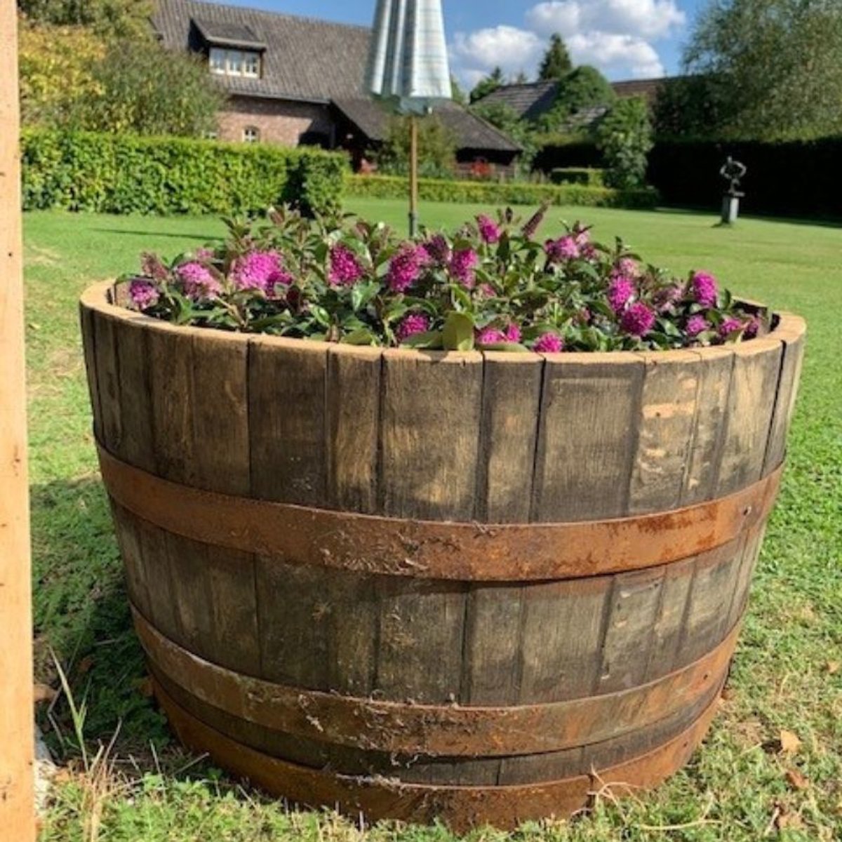 1/2 Whiskyvat als plantenbak