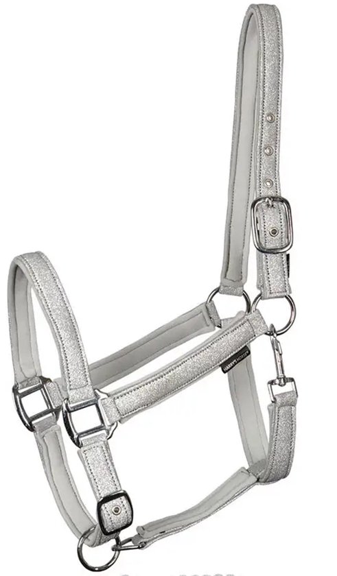 Glinsterende zilverkleurige halster voor een paard met zilverkleurige gespen.