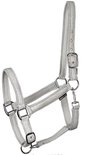 Glinsterende zilverkleurige halster voor een paard met zilverkleurige gespen.