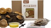 Shiitake Plug & Grow set - Shiitake kweken op boomstammen - Volledige Set