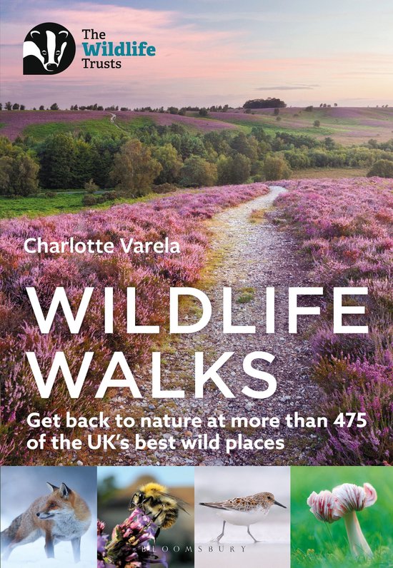 Wildlife Walks - cover