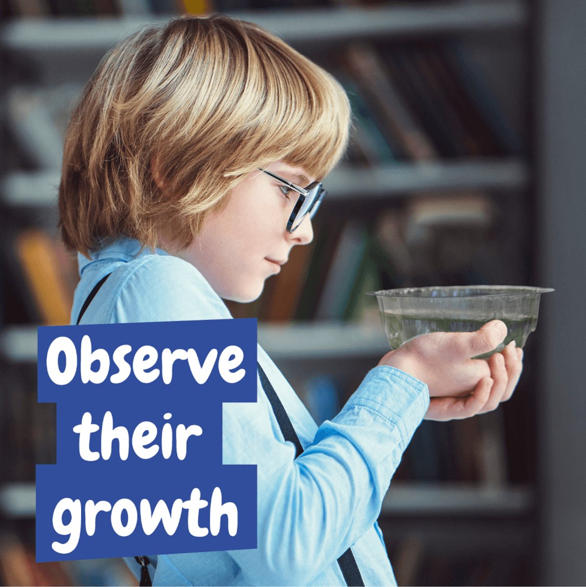 Science4you Artemias Aquatic Creatures - Kweek je eigen Triops - Experimenteerset - Educatief Speelgoed 6+ Jaar — cadeau in Spellen & Speelgoed - foto 5