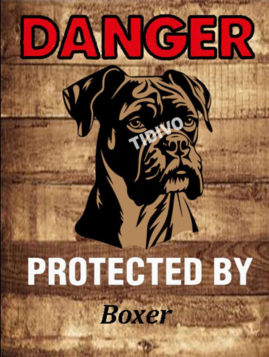 Boxer 19